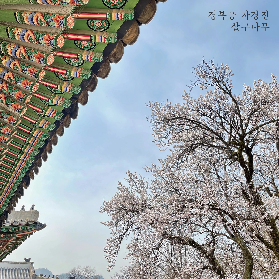 01참가 모집 포스터(51~54차 다섯 궁궐)04.jpeg