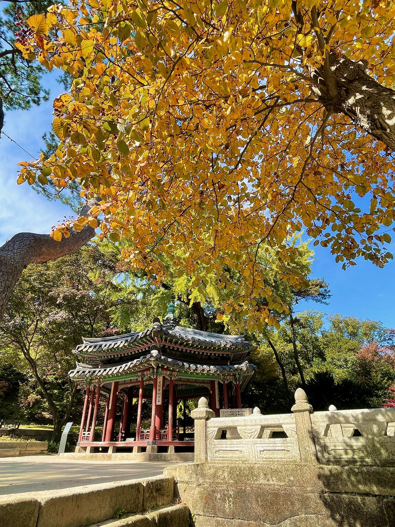 2022년 가을 창덕궁 후원 풍경(대표 사진) - 4.jpeg