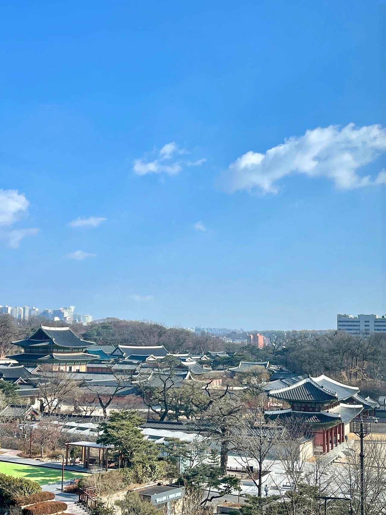 220216 창덕궁 전경 사진(부감샷) - 4.jpeg