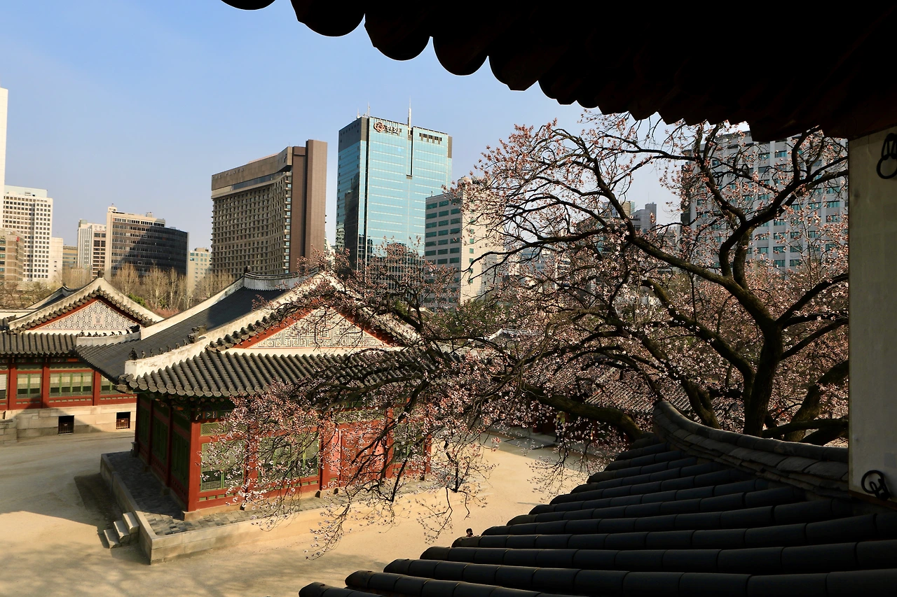 석어당 내부 특별관람 - 4.jpeg