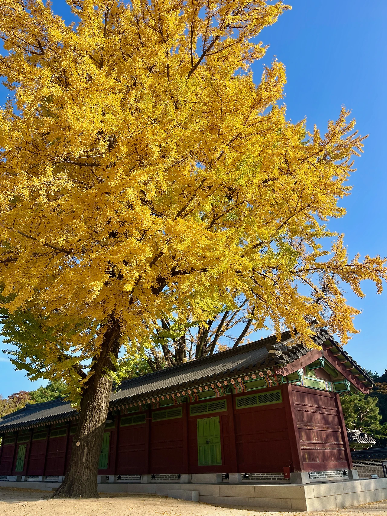 즐겨찾기 - 3.jpeg