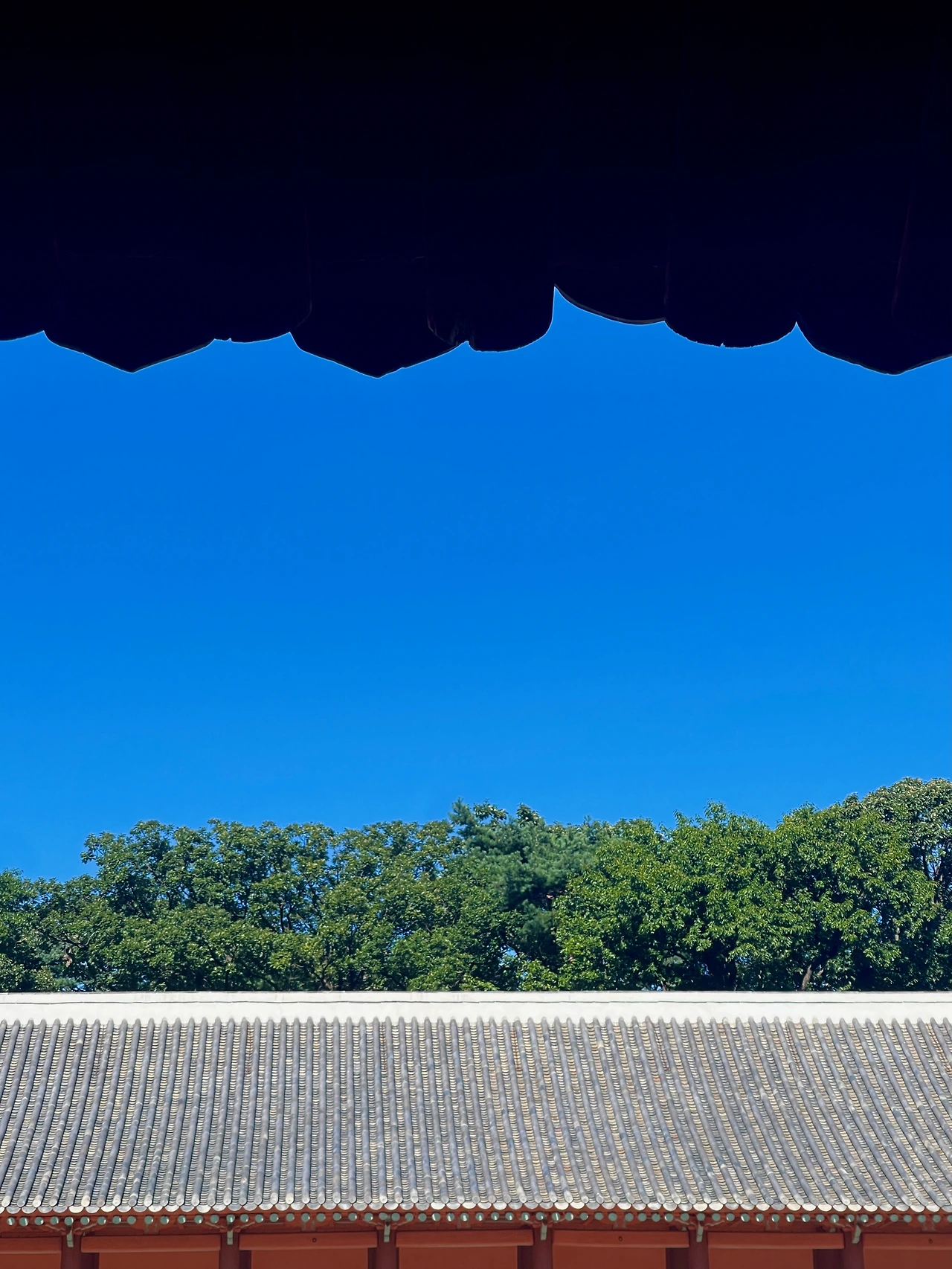 종묘 정전_가을 풍경 - 2.jpeg