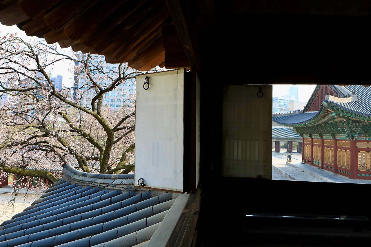 석어당 내부 특별관람 - 5.jpeg