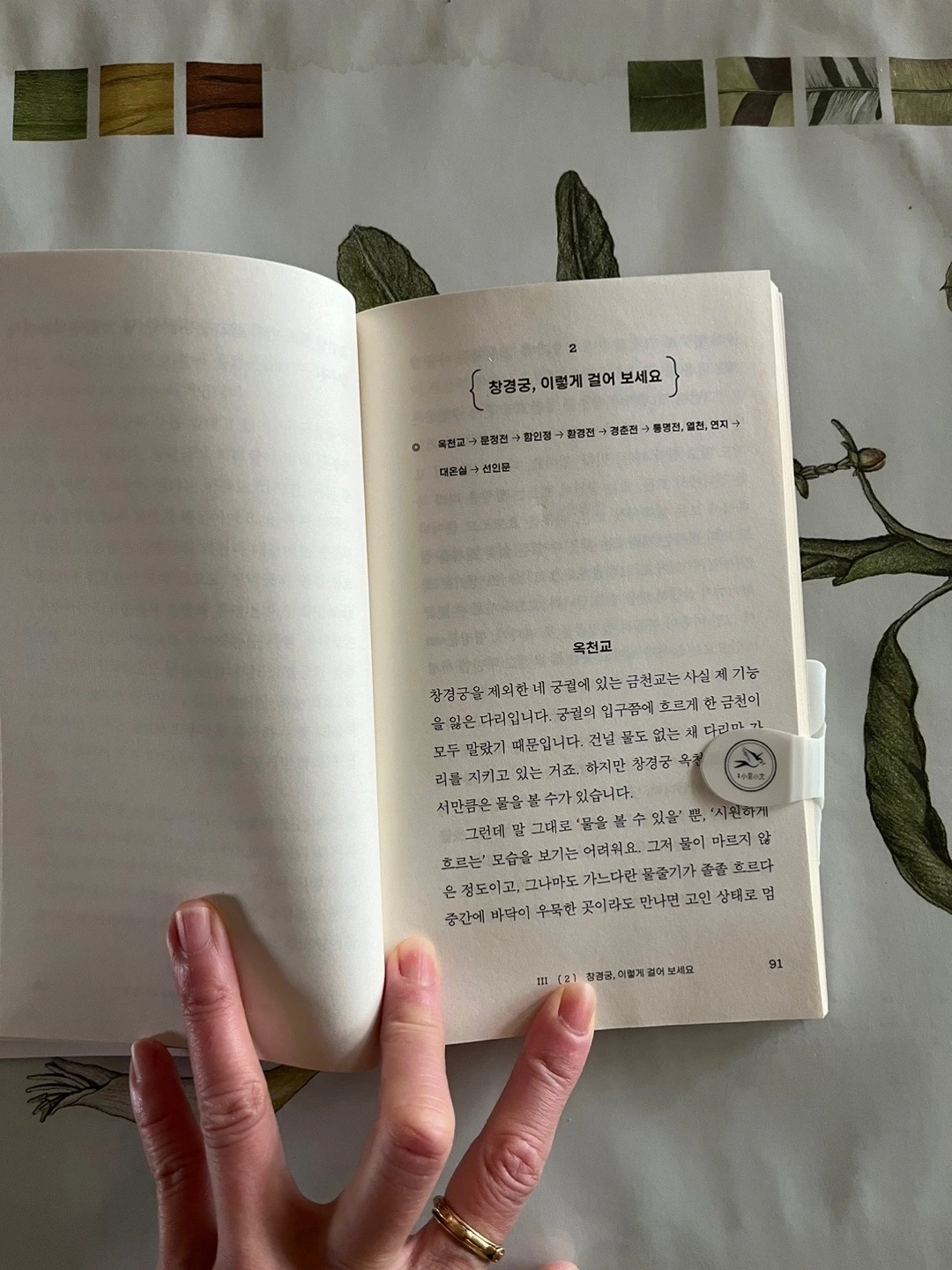 231110금 66차 창경궁 - 6.jpeg