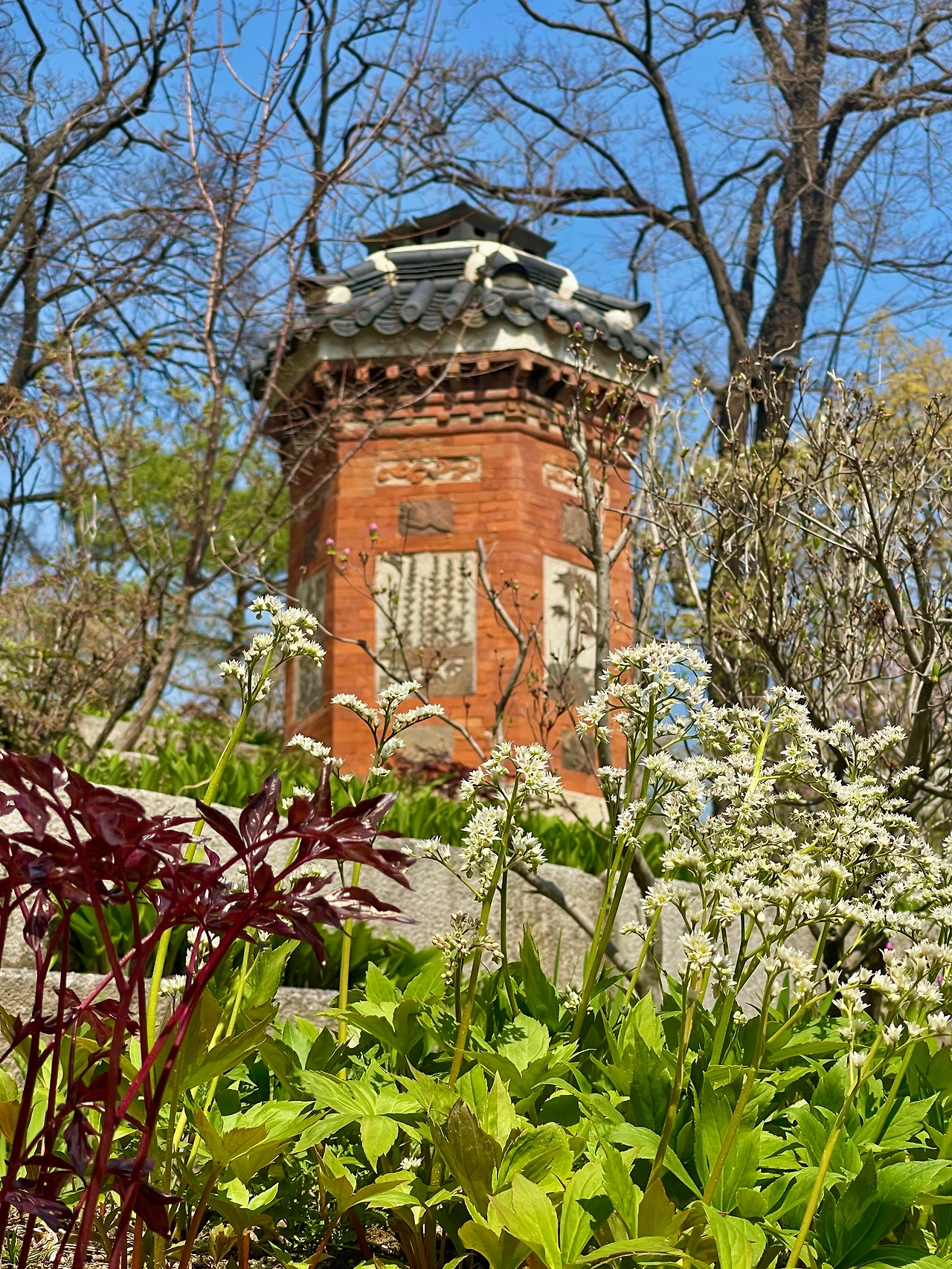 경복궁 교태전 아미산 봄 풍경02.JPG