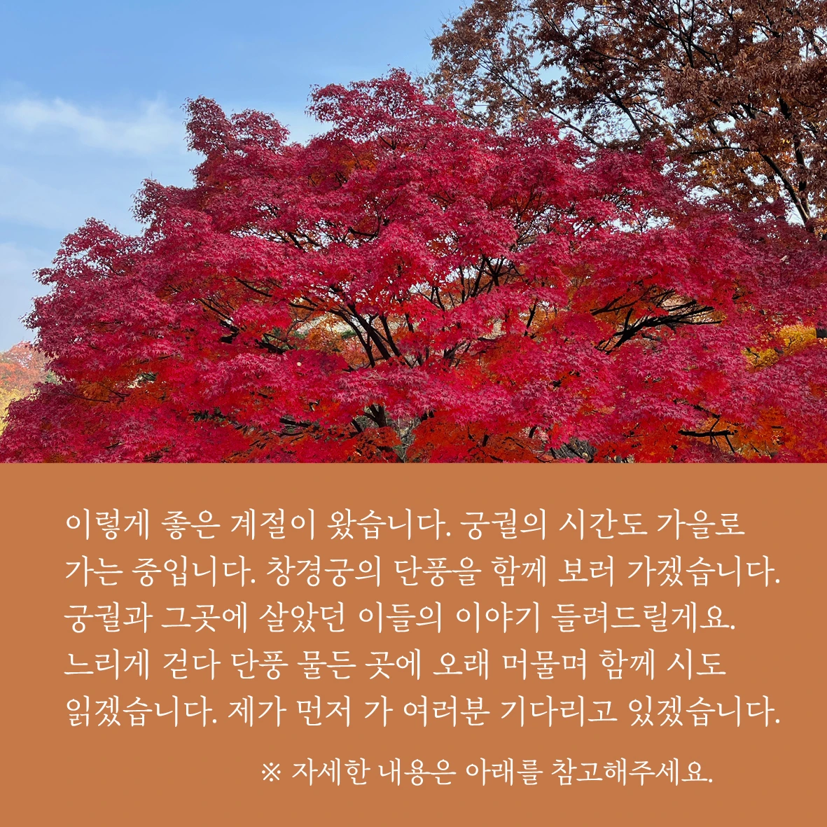 E250923 01a참가 모집 포스터(104차 창경궁)02.jpeg