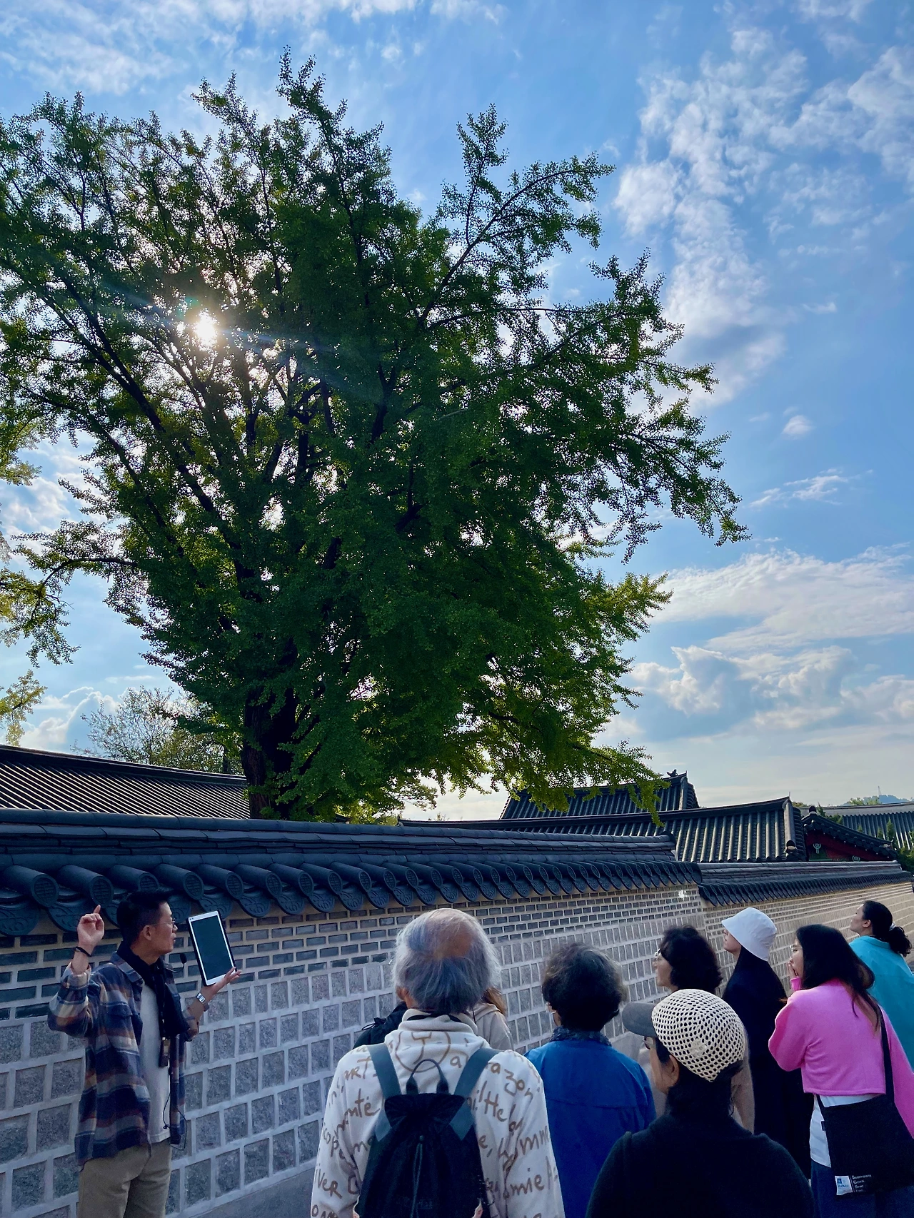 241010목 81차 궁중문화축전 아침 궁을 깨우다(2일차) - 8.jpeg