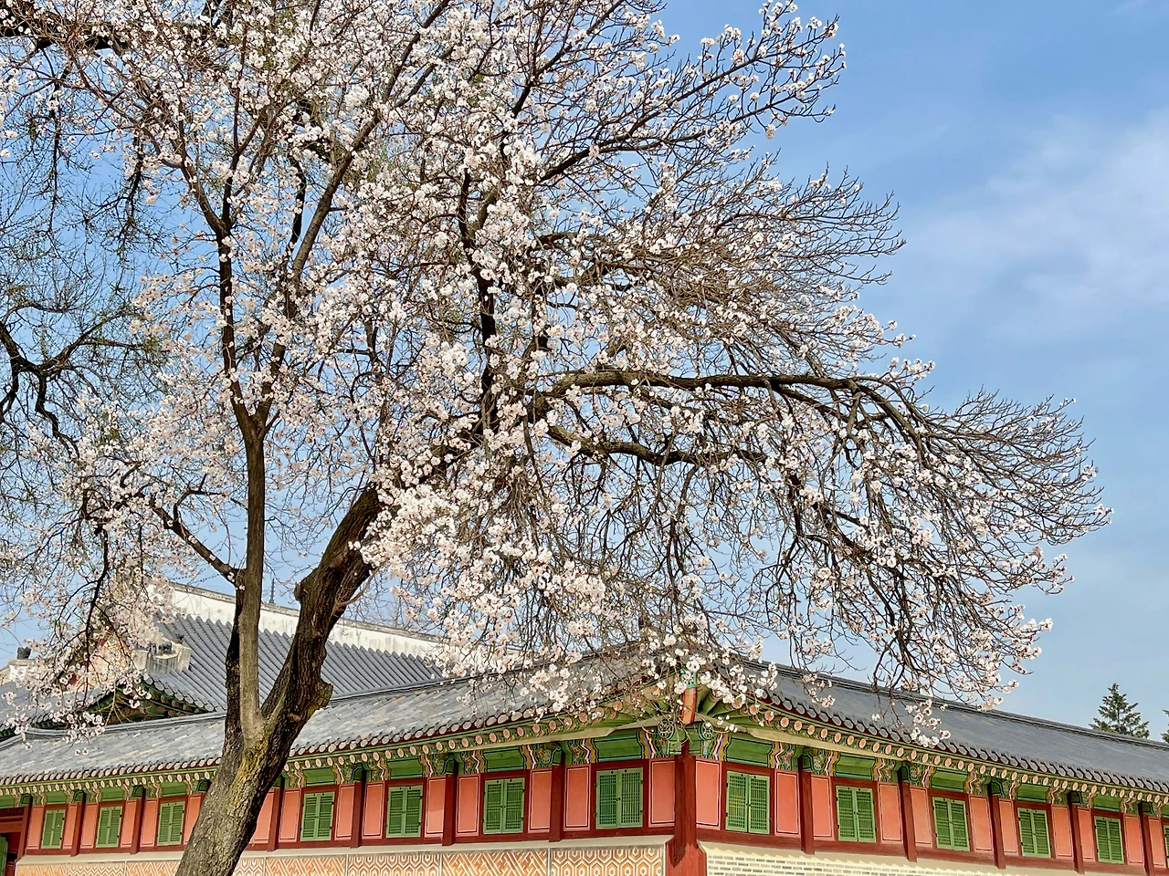 자경전 - 9.jpeg