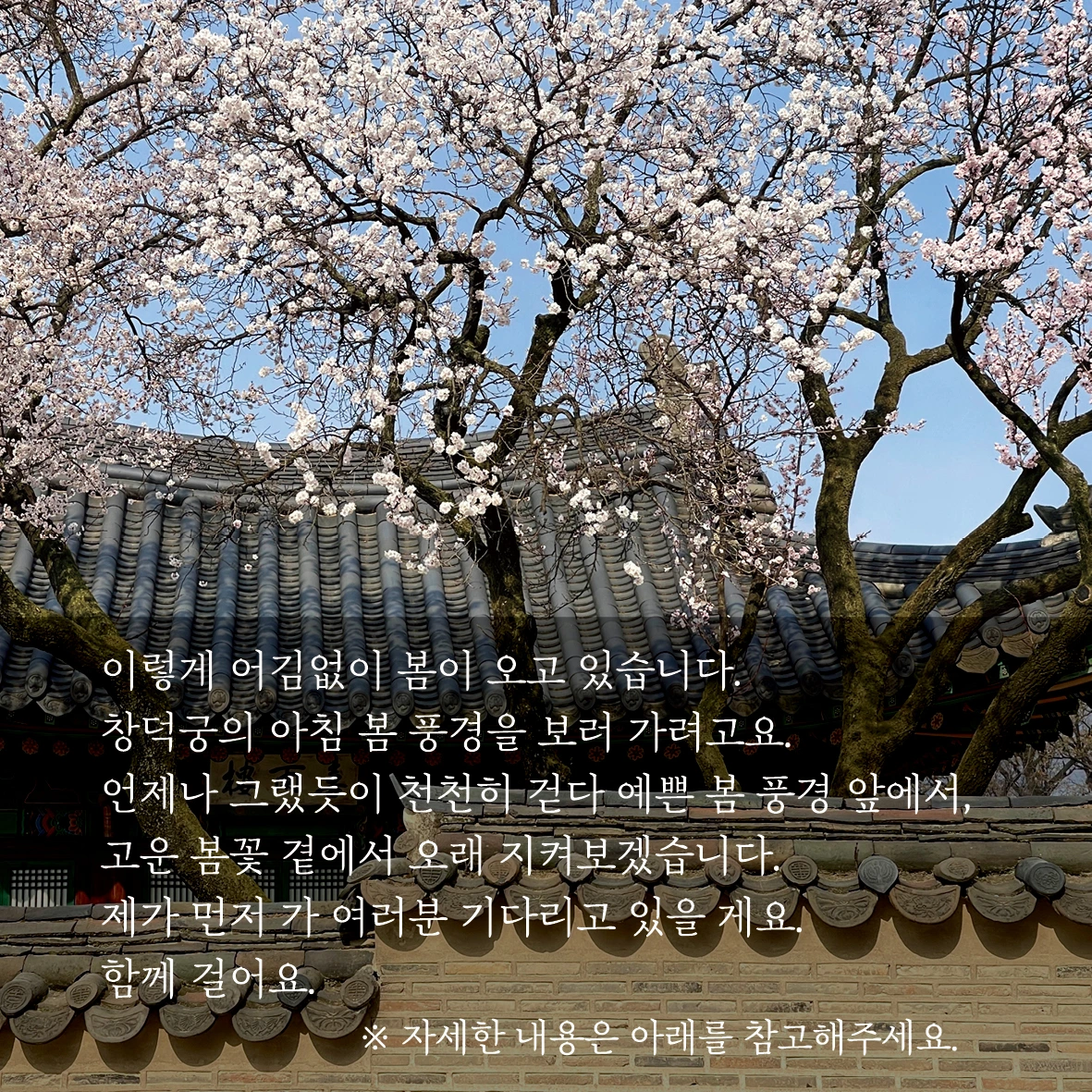 E240311 01a참가 모집 포스터(67차 창덕궁) 이미지03.jpeg