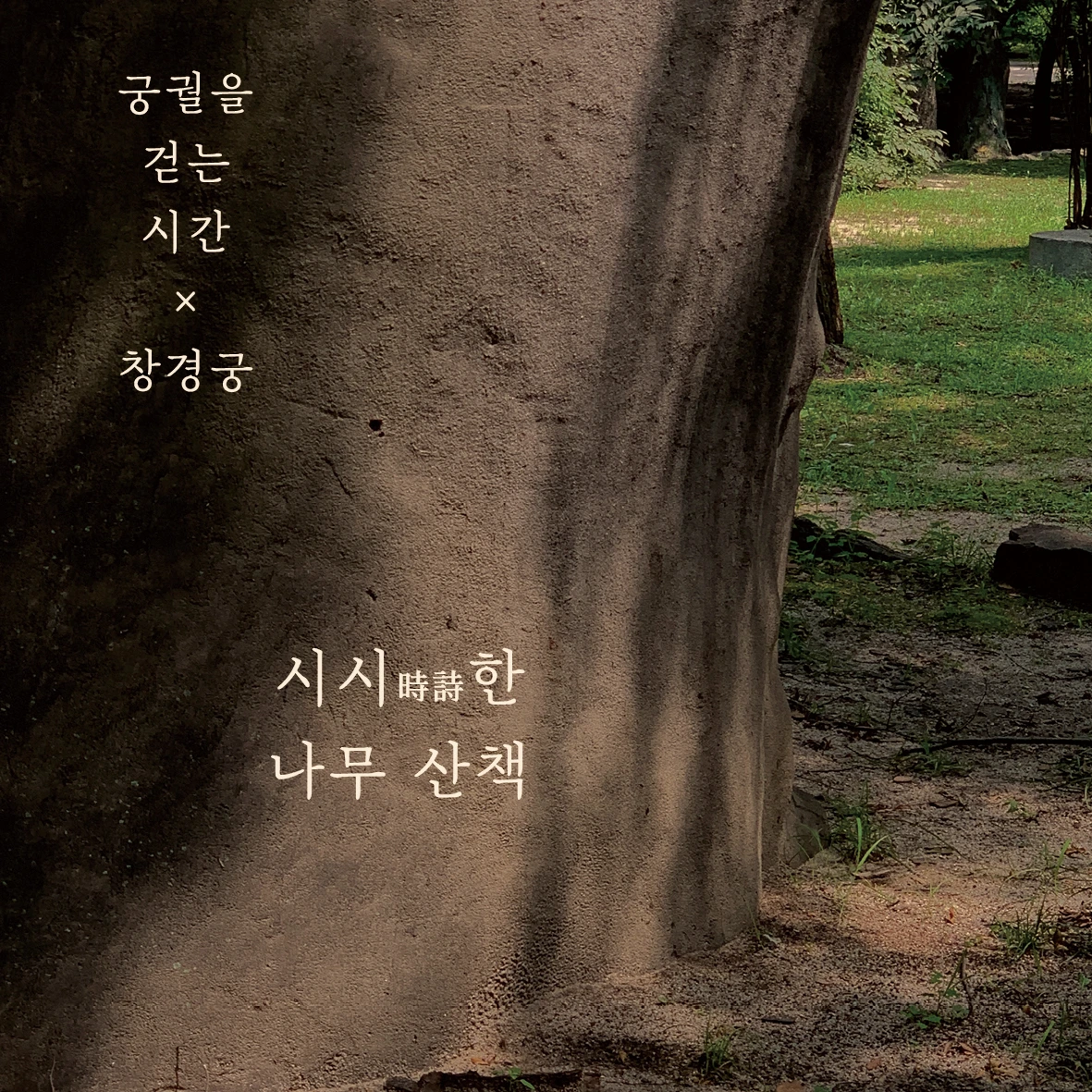 E220824 01참가 모집 포스터(32~35차 창경궁 나무 산책)01.jpeg