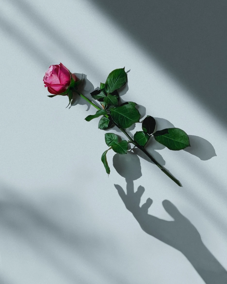 victoria-naumenko-WpqqK3G2hII-unsplash.jpg?type=w1