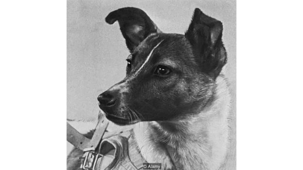 SSI_20171103091129_O2.jpg?type=w773