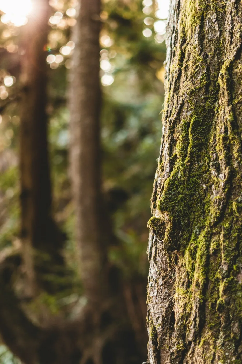 jasper-garratt-tSJlXdAdRc4-unsplash.jpg?type=w1