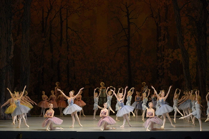 Don_Quixote_by_Valentin_Baranovsky_%E2%93%92_State_Academic_Mariinsky_Theatre_%281%29.JPG?type=w773