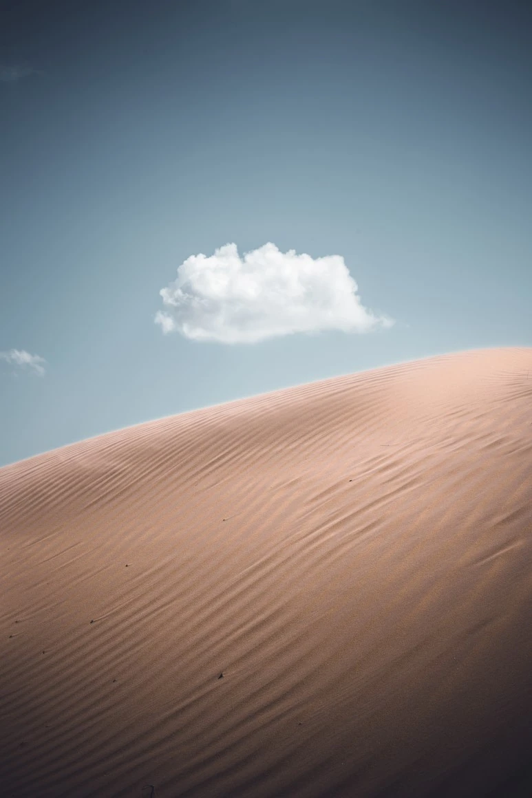 kasper-rasmussen-757122-unsplash.jpg?type=w773