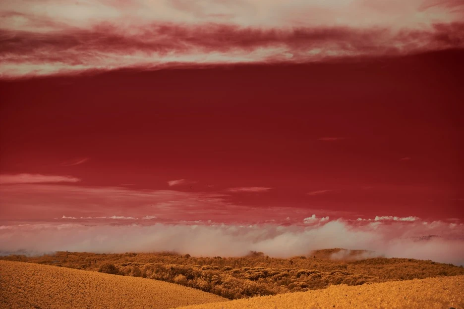 wolfgang-hasselmann-OFoA12r7tA4-unsplash.jpg?type=w1