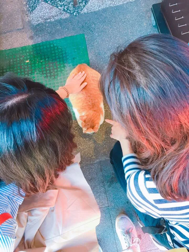 %EC%8A%A4%ED%8E%80%EB%83%90%EC%98%B9%EC%9D%B4.jpg?type=w773