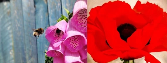 %EC%98%A4%ED%82%A4%ED%94%843.jpg?type=w580