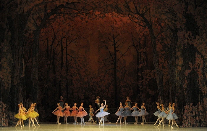 Don_Quixote_by_Valentin_Baranovsky_%E2%93%92_State_Academic_Mariinsky_Theatre_%284%29.JPG?type=w773