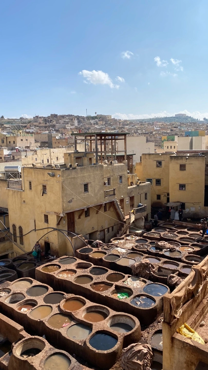 KakaoTalk_Photo_2025-02-21-12-43-11 020.jpeg