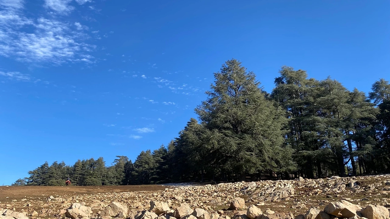 KakaoTalk_Photo_2025-02-21-12-43-09 001.jpeg