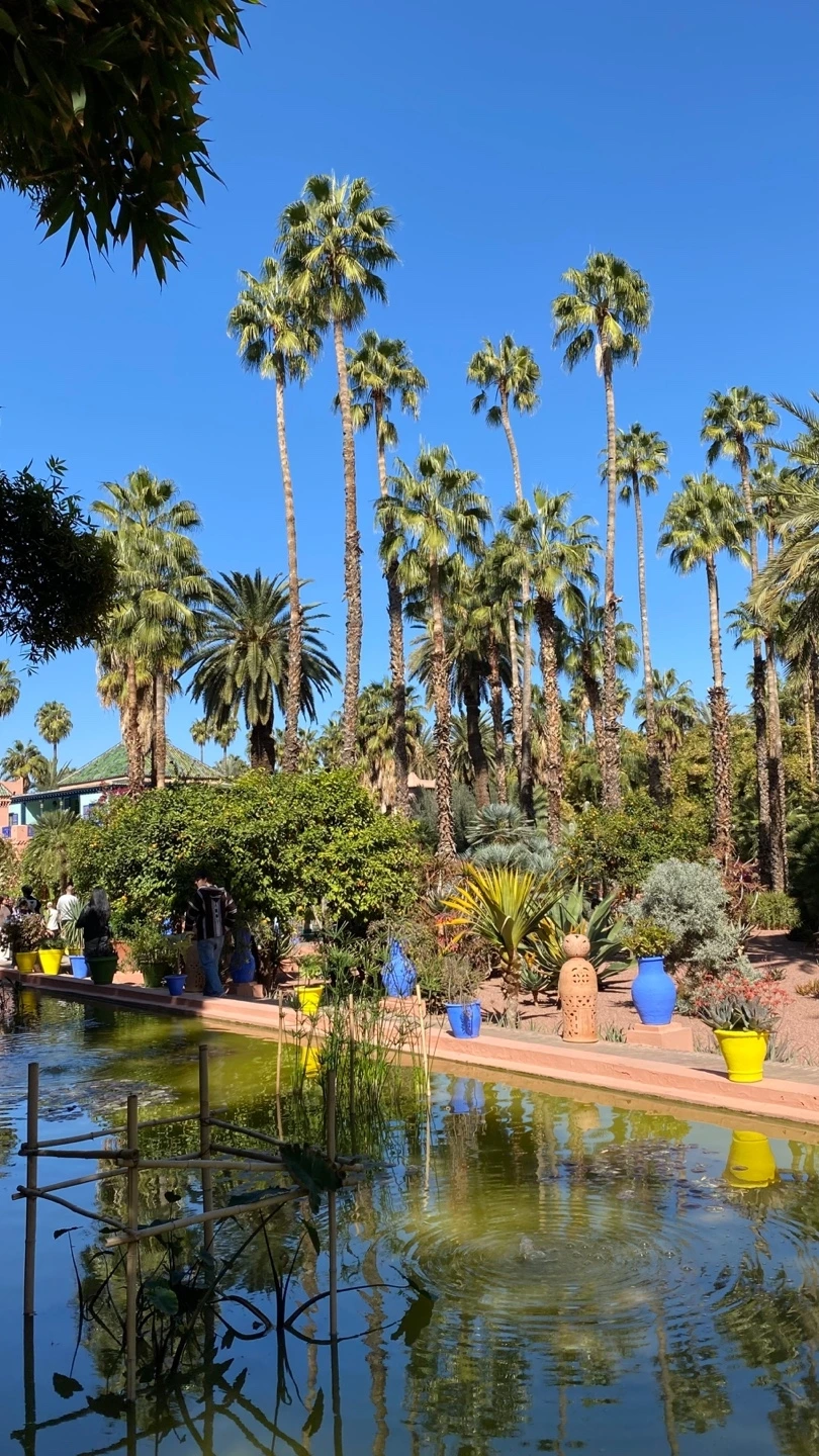 KakaoTalk_Photo_2025-02-21-09-36-35 016.jpeg