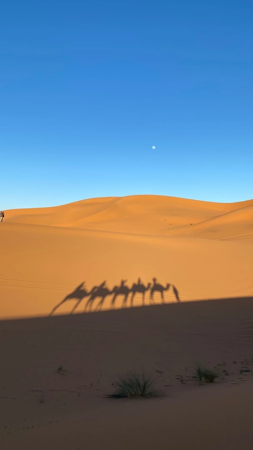 KakaoTalk_Photo_2025-02-21-09-37-38 005.jpeg