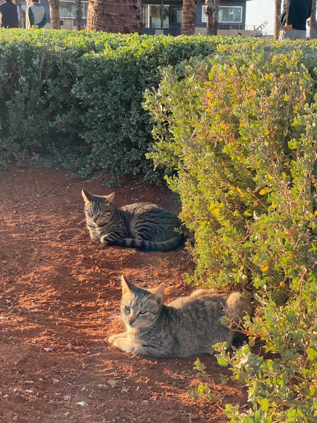 KakaoTalk_Photo_2025-02-21-12-44-24 018.jpeg