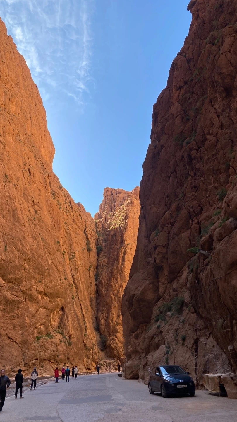 KakaoTalk_Photo_2025-02-21-09-37-16 009.jpeg