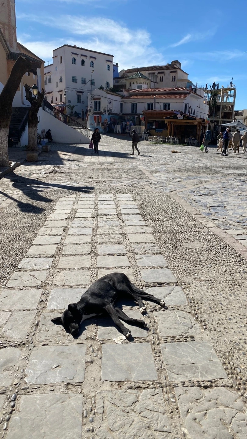 KakaoTalk_Photo_2025-02-21-12-43-30 003.jpeg