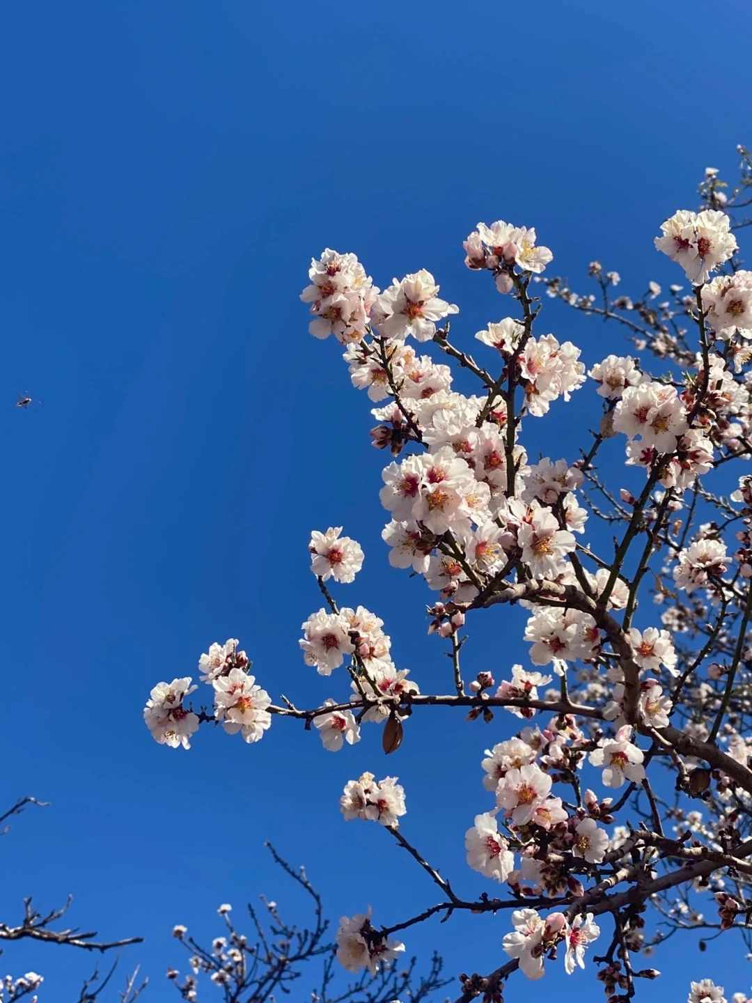 KakaoTalk_Photo_2025-02-21-09-37-16 002.jpeg