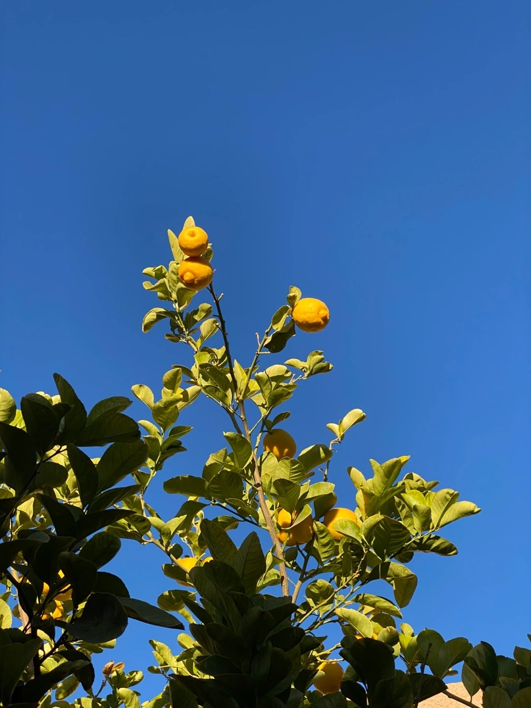 KakaoTalk_Photo_2025-02-21-09-37-16 008.jpeg