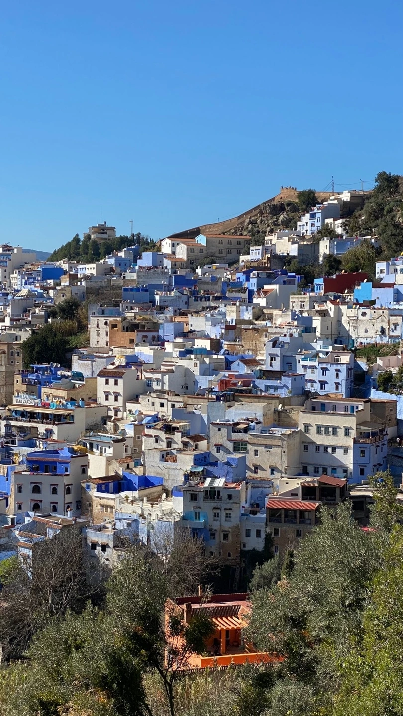 KakaoTalk_Photo_2025-02-21-12-43-31 012.jpeg