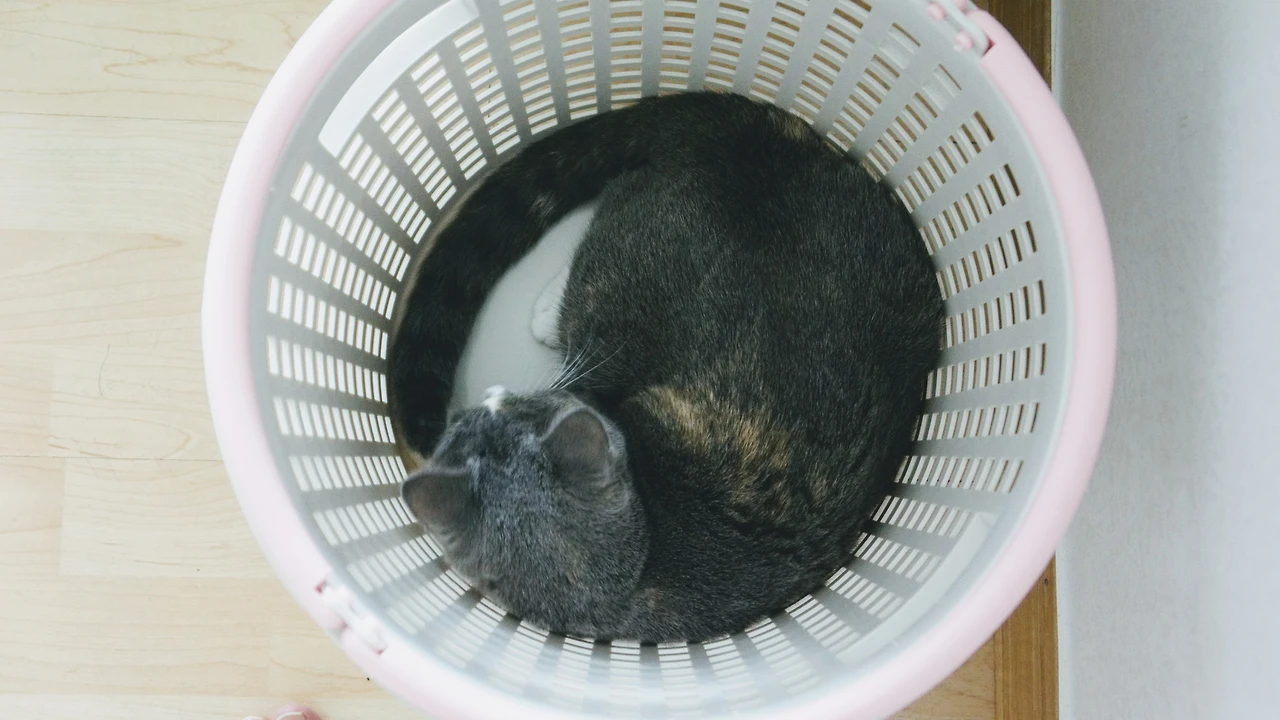 997FF8345A82F0D52BFD04