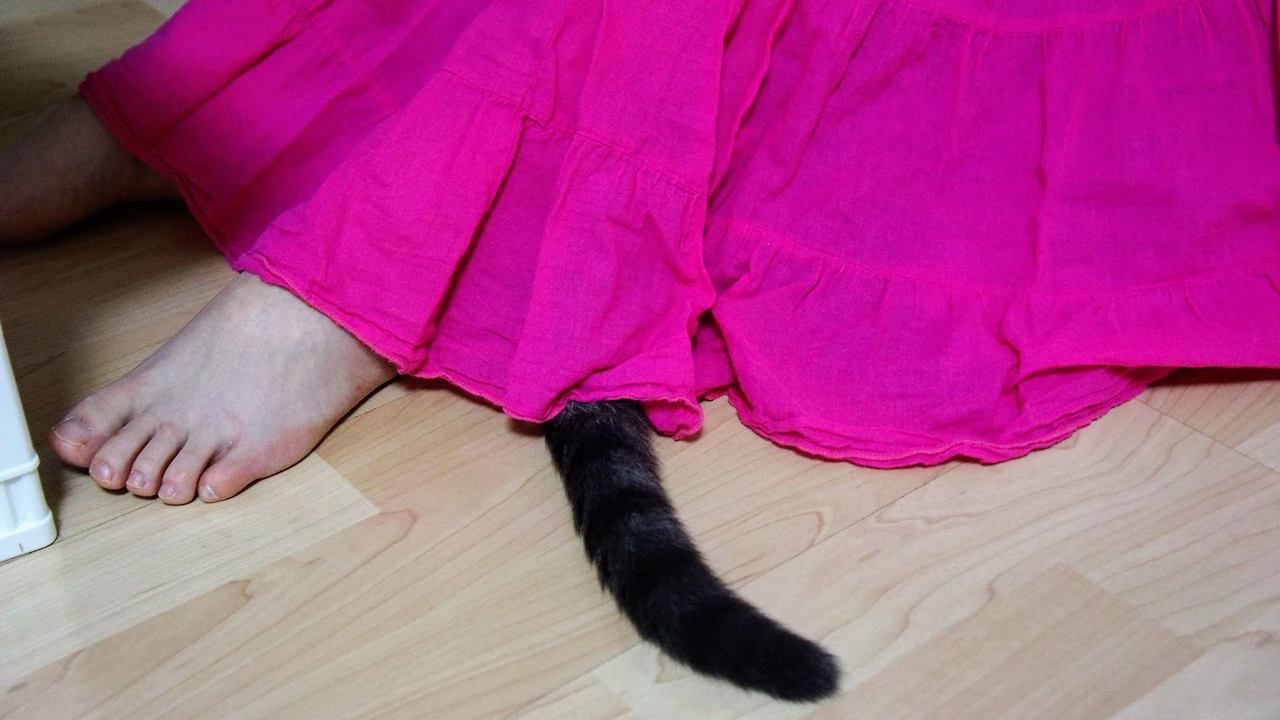 99A9F24B5A82F0D215C7C0