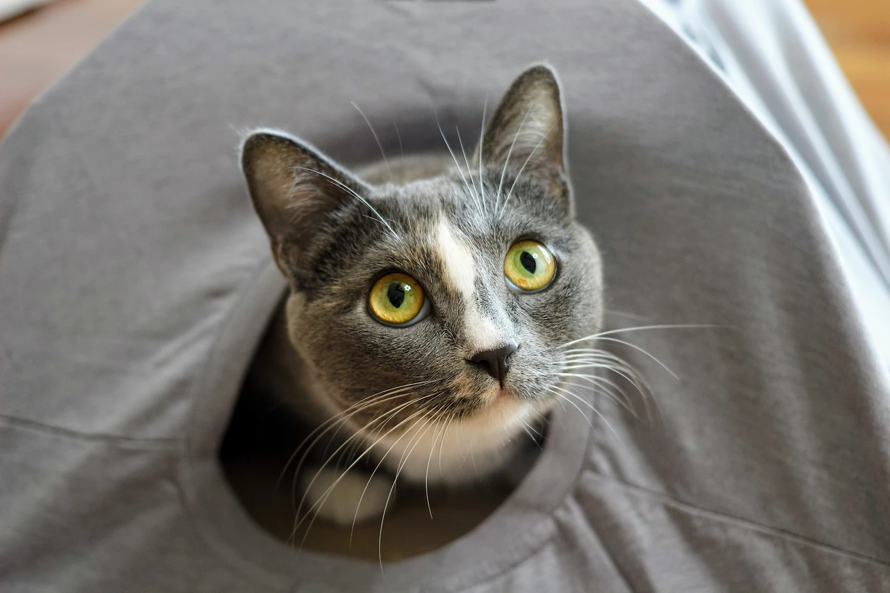 99FE04365A82F0D411F5B7