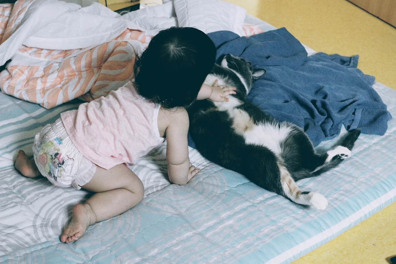 9915774B5A75B7FB0D2B84