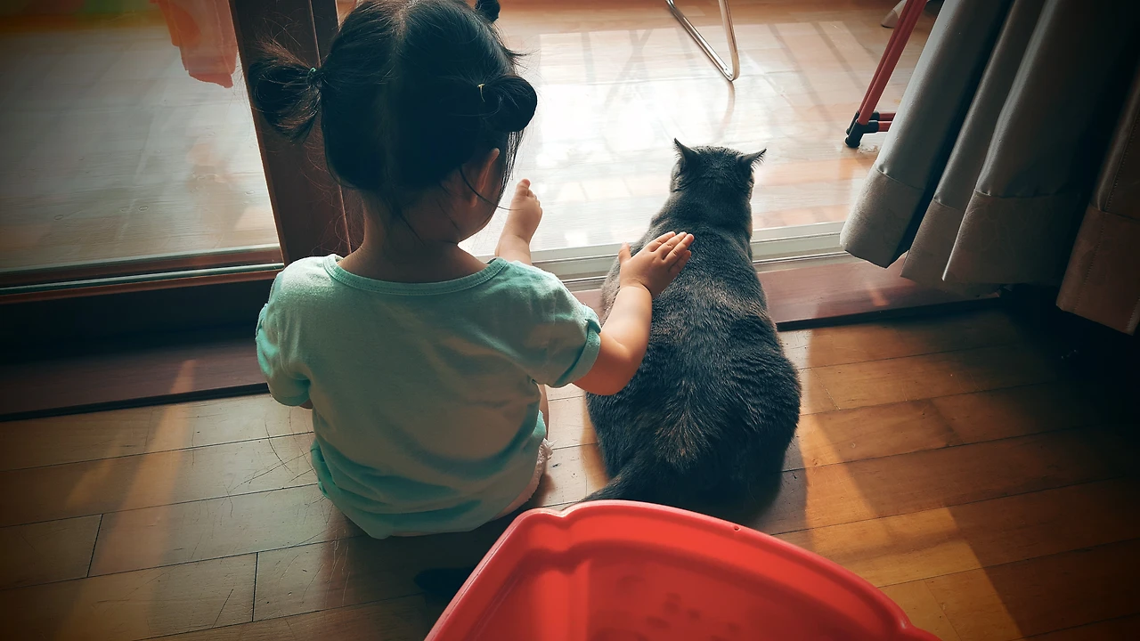 99C3CB415A75B41310986E