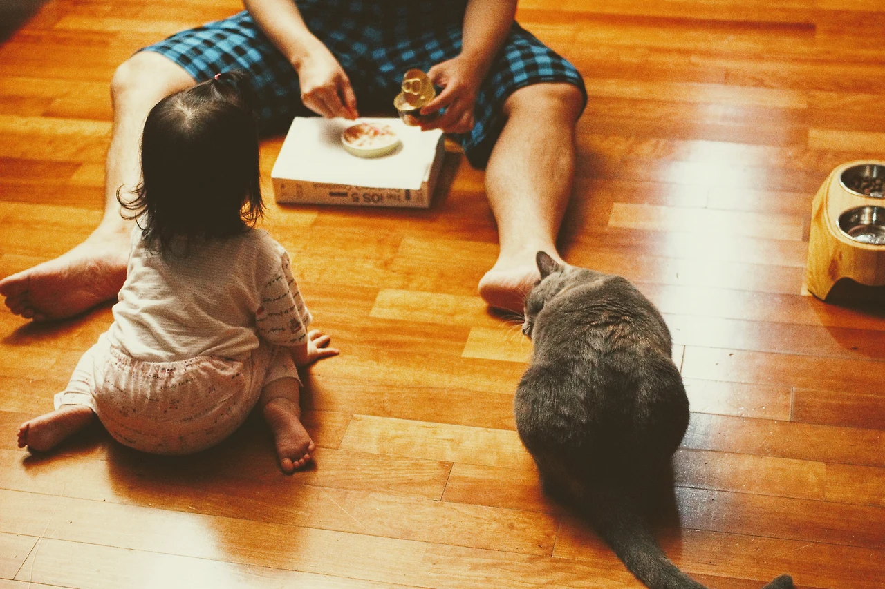 997D53355A75B4143F8E02