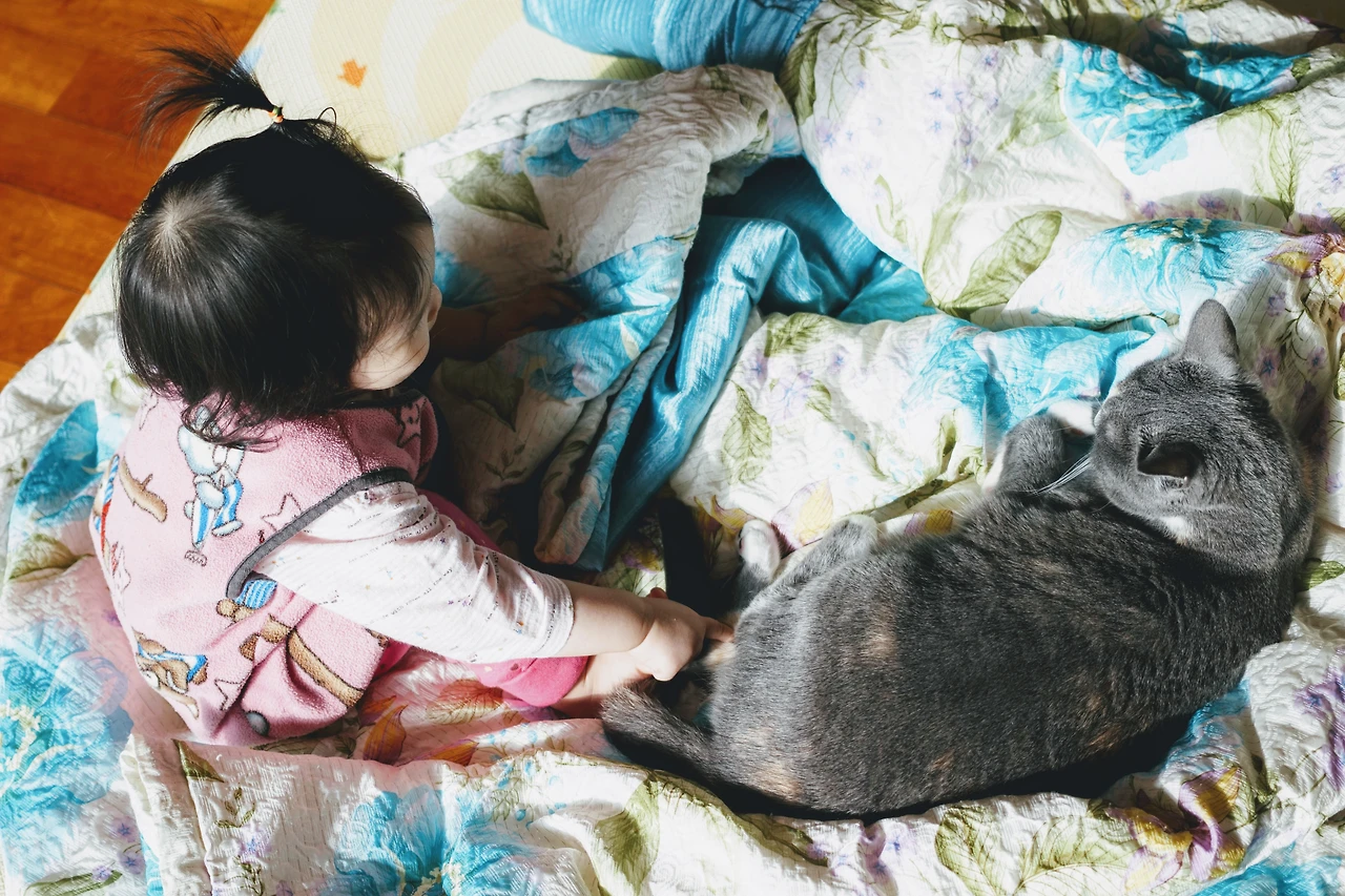 995D65495A80593828C5C8