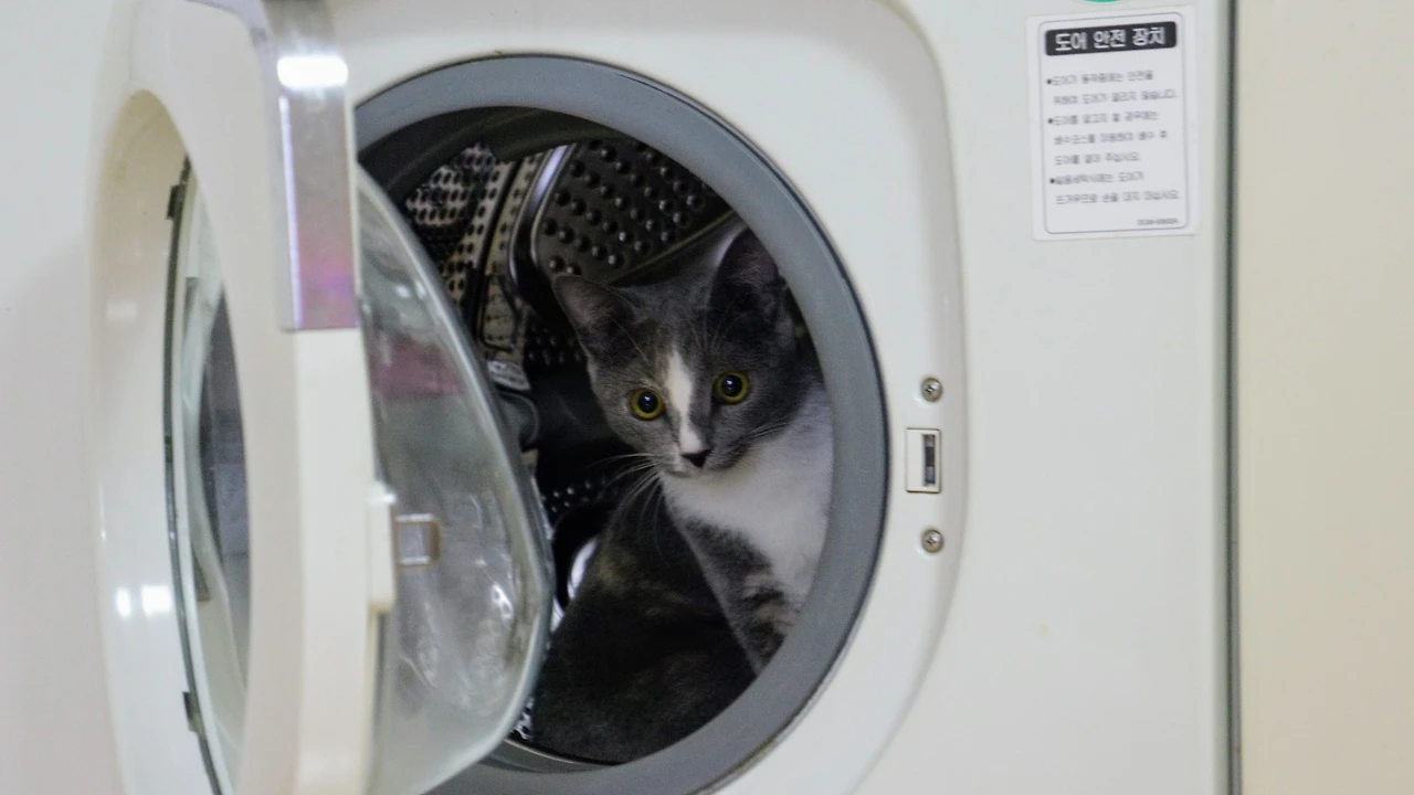 99C0324F5A82F0CE0C5216