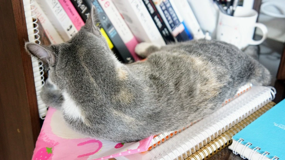 9940A54F5A88B1A21011CB