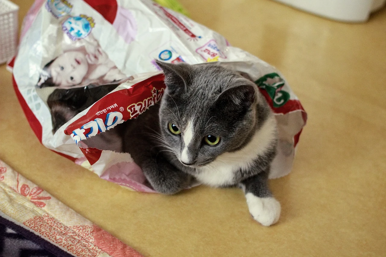 991AA83B5A82F0D428EA9E