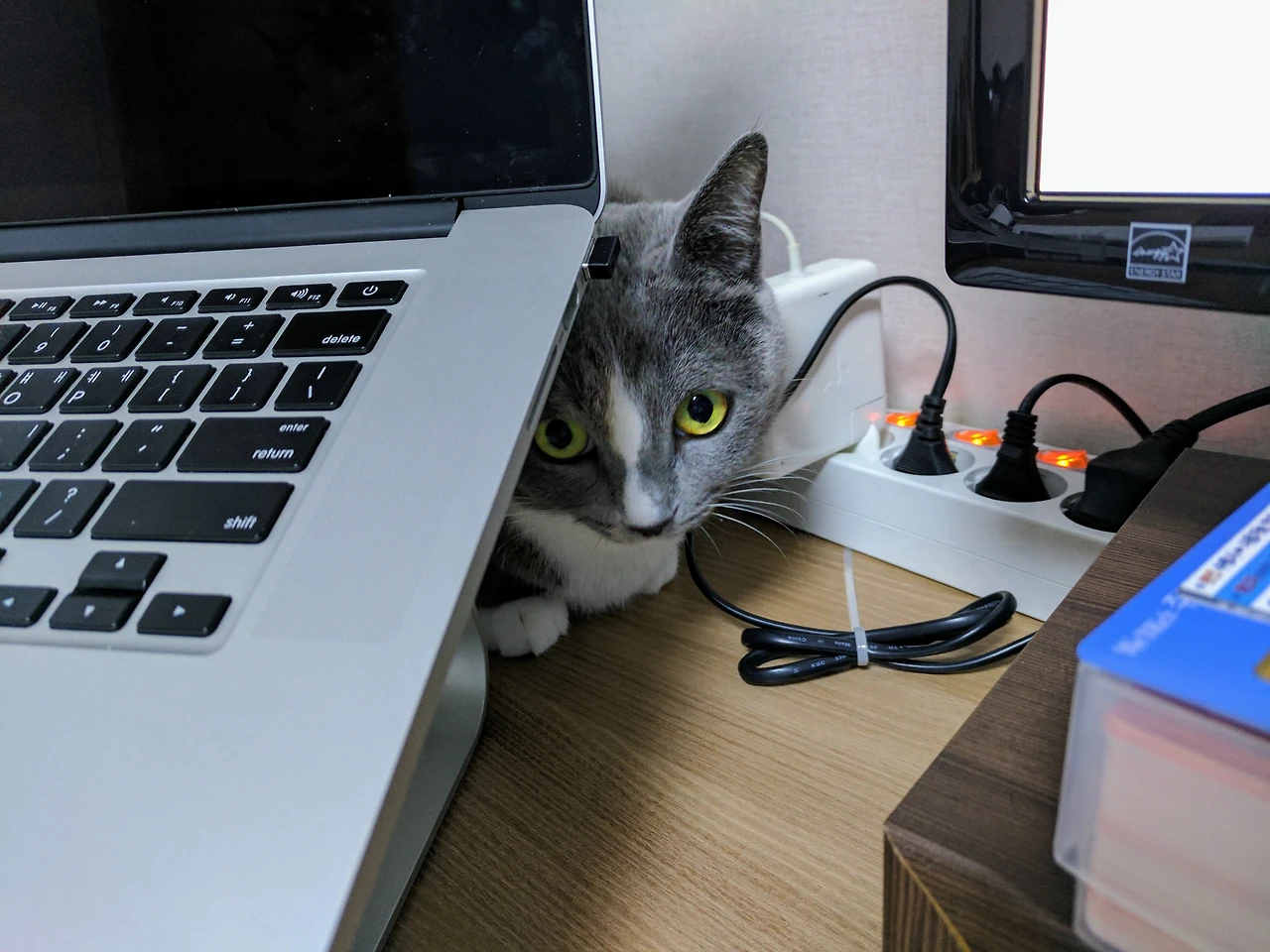 99A2043E5A88B3AA162525