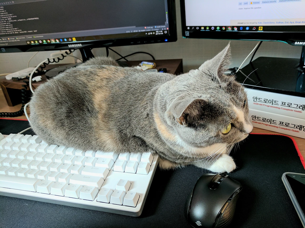 994163435A88B3691266DE