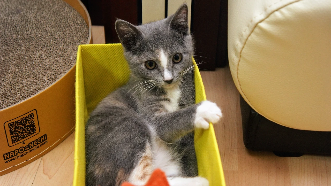 9936423C5A82F0C926CBB4