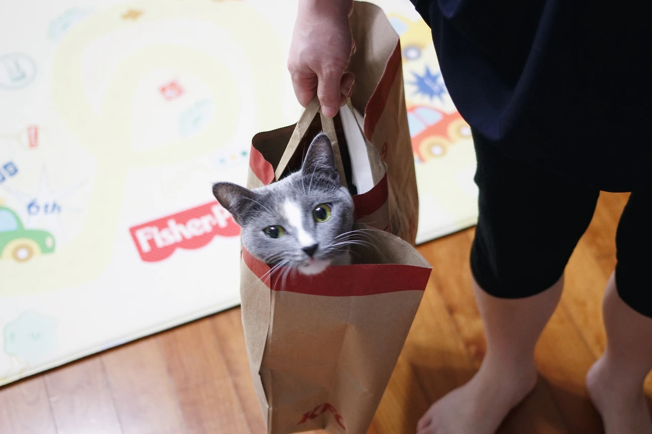 99C073455A82F0D20E165B