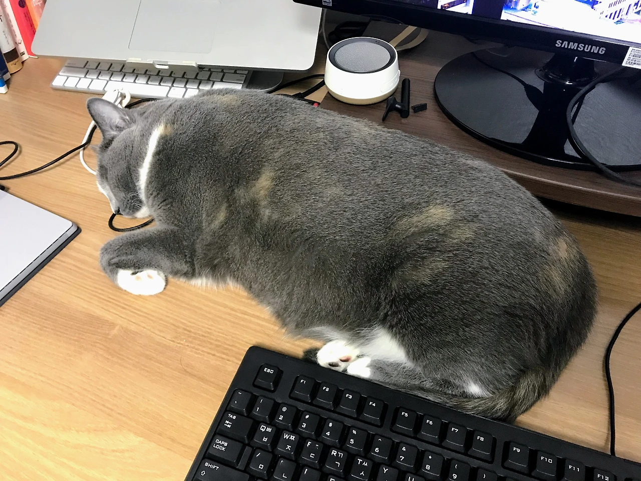 99DBD43B5A88B3F910F582