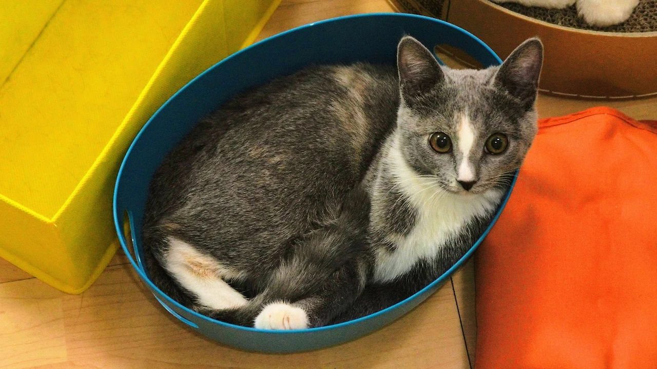 99EF834F5A82F0CB1FABE2