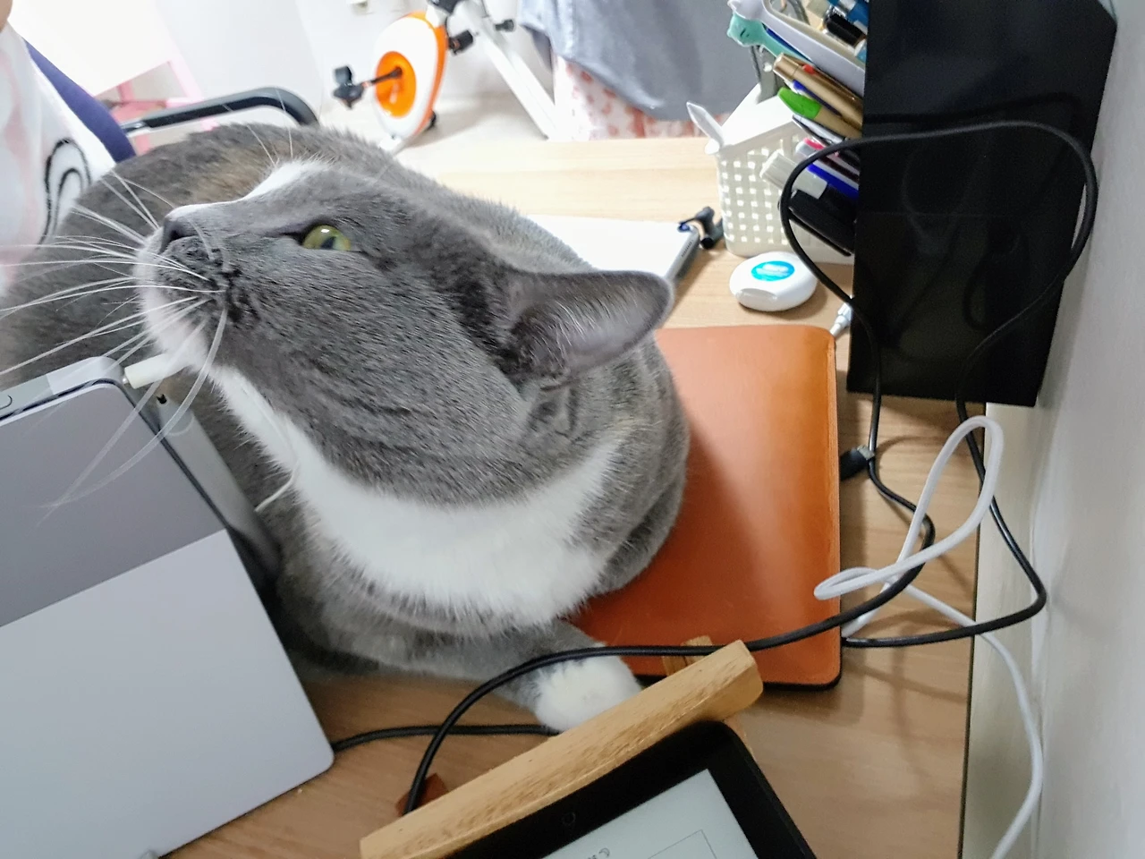 9956784C5A88B42811F949